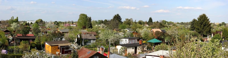 Neighborhood Allotments