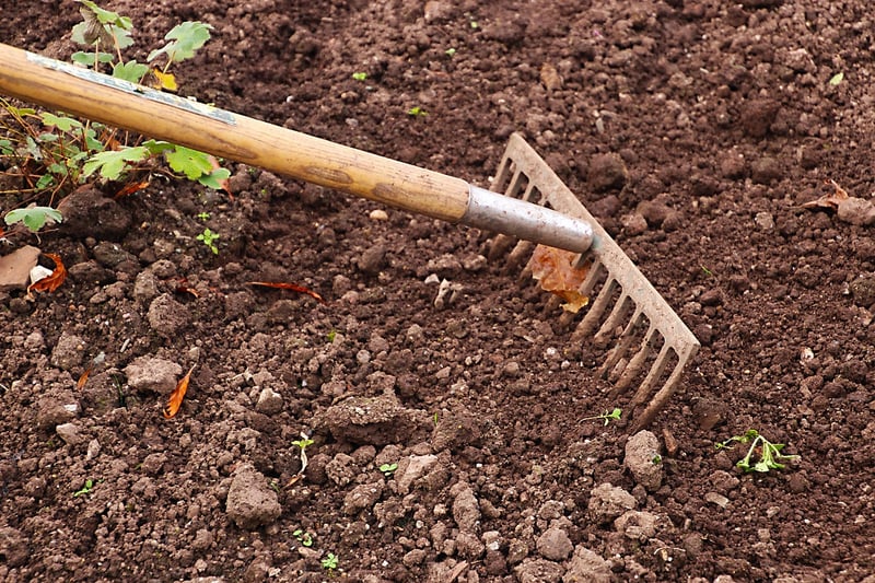 Spring Garden Preparation