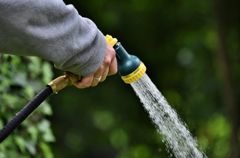 Summer Plant Watering